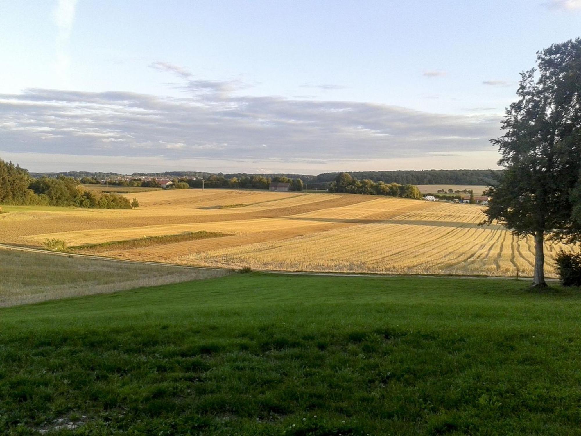 Hof Am Horn - Fewos In Der Natur Laichingen エクステリア 写真