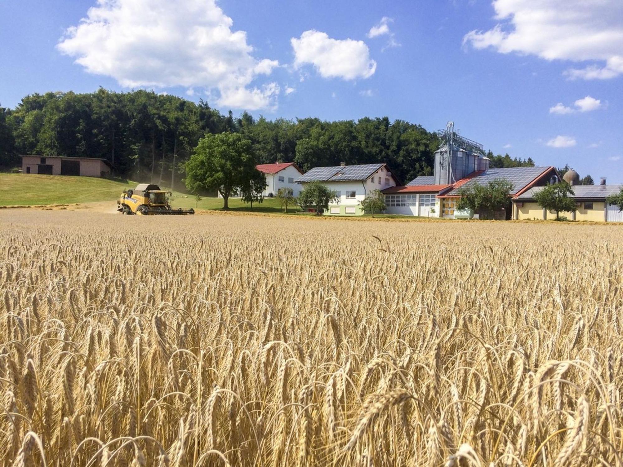 Hof Am Horn - Fewos In Der Natur Laichingen エクステリア 写真